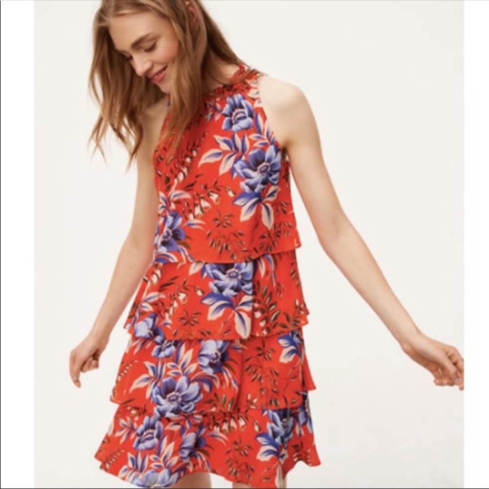 Ann Taylor LOFT • Dress